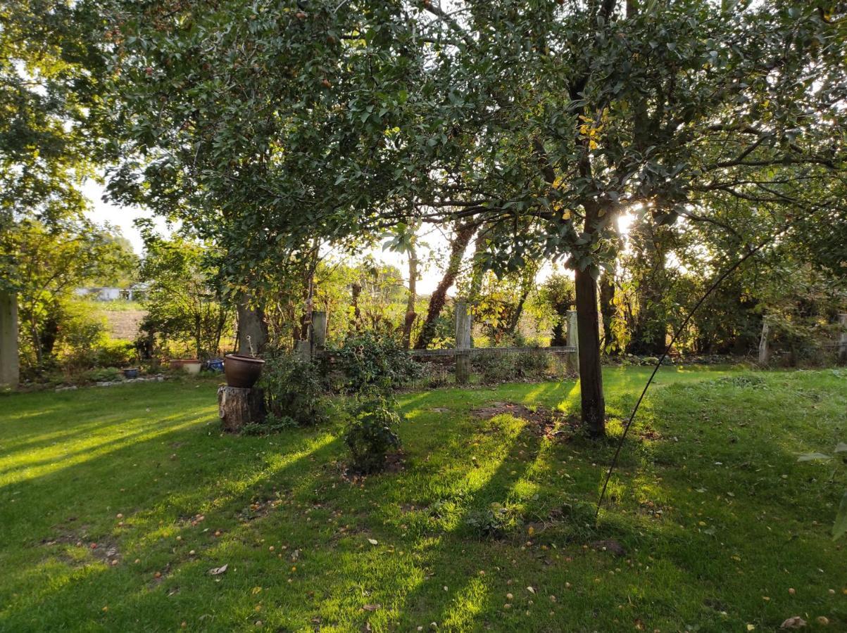Letabli Otel Ennetieres-en-Weppes Dış mekan fotoğraf